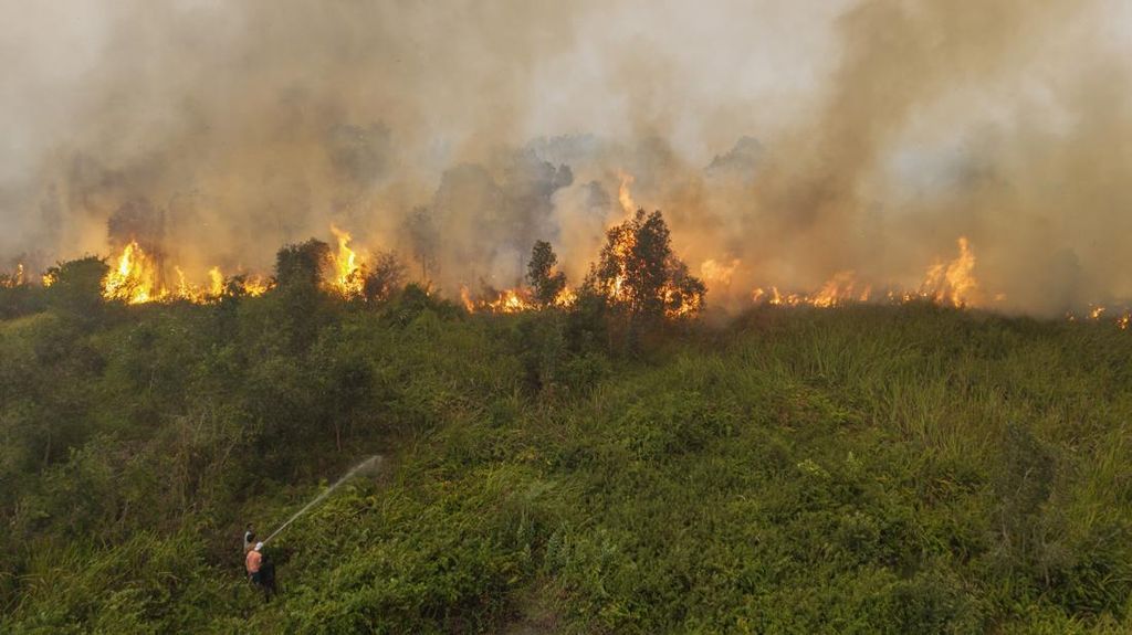 Cerita Rumah Warga OKI Nyaris Ludes oleh Karhutla, Jarak Api 5 Meter