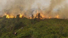 Warga Kelurahan Perigi di OKI bercerita soal karhutla di lahan gambut yang berjarak meter dari rumah akhir pekan lalu.