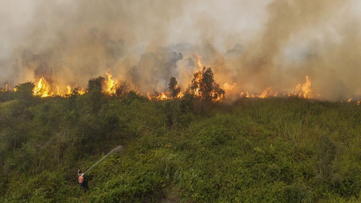 Cerita Rumah Warga OKI Nyaris Ludes oleh Karhutla, Jarak Api 5 Meter