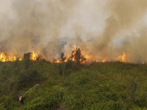 Foto udara warga berusaha memadamkan kebakaran lahan yang terjadi di Desa Babatan Saudagar, Kecamatan Pemulutan, Kabupaten Ogan Ilir (OI), Sumatera Selatan, Rabu (30/9/2026). Berdasarkan pantauan satelit NOAA20 yang dipantau melalui aplikasi Sipongi