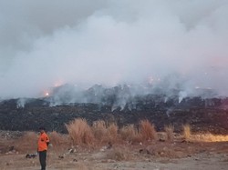 Sebulan TPA Jatibarang Sudah 3 Kali Terbakar, BPBD Buka Peluang Status Darurat