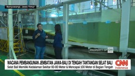 Wacana Pembangunan Jembatan Jawa-Bali Di Tengah Tantangan Selat Bali
