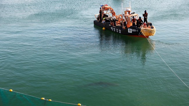 A shark nicknamed