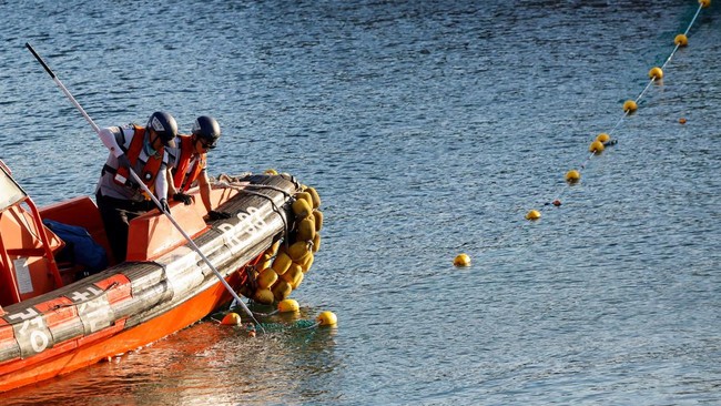 Rescue workers aboard a boat adjust a net during an operation to guide a shark nicknamed