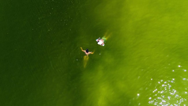 Fenomena Ledakan Plankton Menghijaukan Laut Thailand