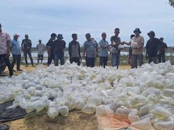 1.835 Hektare Tambak di 3 Provinsi Mulai Dipulihkan Usai Bencana