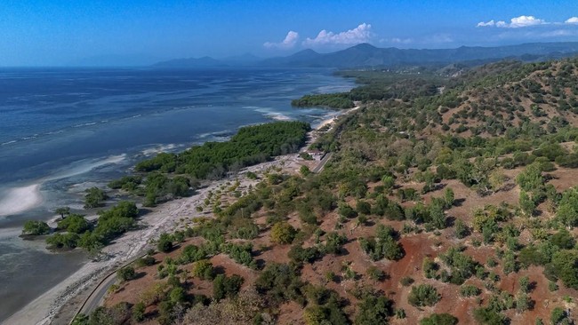 Foto udara kawasan pantai Pasir Putih, Atapupu, Belu, Nusa Tenggara Timur, Rabu (23/7/2025). Dok Konservasi Indonesia/Arie Yudhistira
