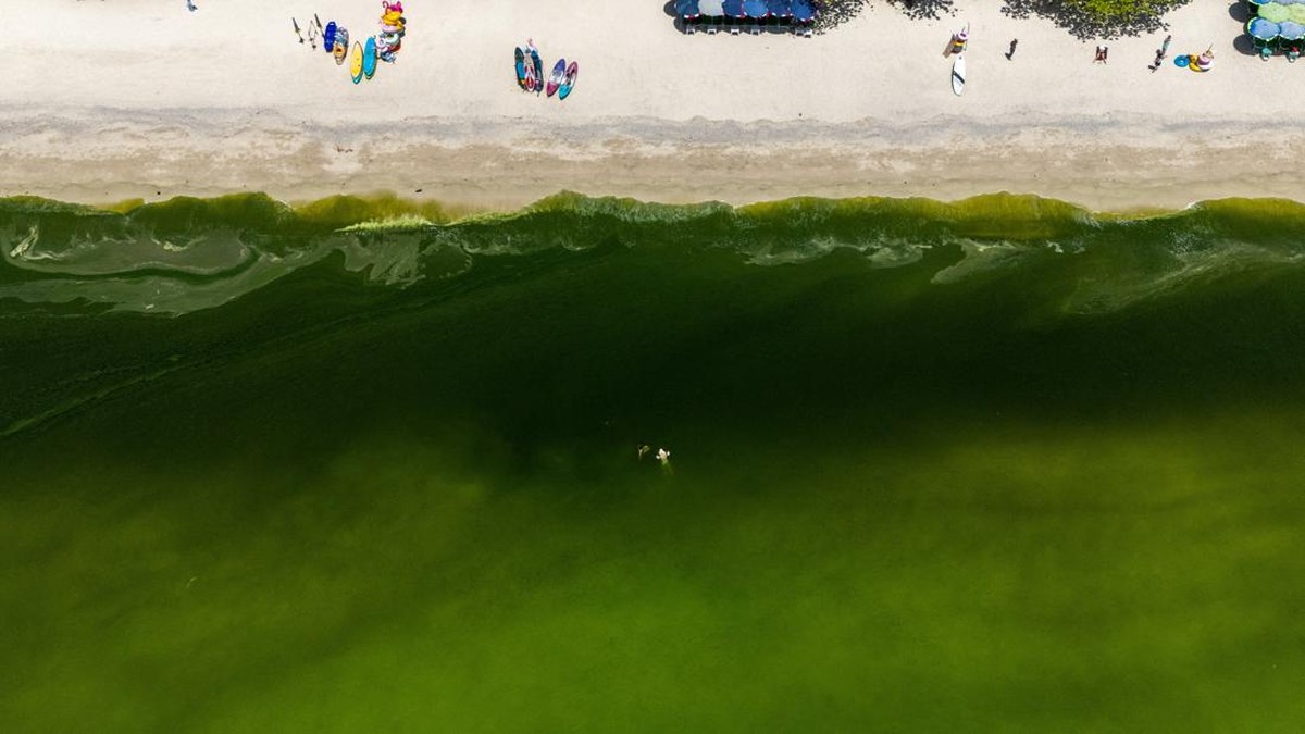 Penampakan Fenomena Pantai Hijau di Thailand