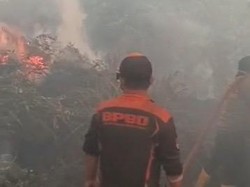 Kalteng Siapkan Rp 107 M untuk Perang Lawan Karhutla hingga Akhir 2026