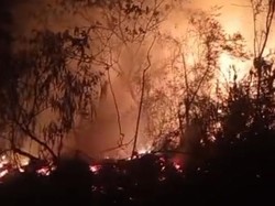 Taman Wisata Alam Ruteng NTT Terbakar