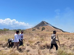 Kebakaran Sabana Pulau Kenawa Capai 5 Ha, Diduga Dipicu Puntung Rokok