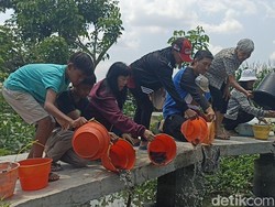 Umat Buddha Tulungagung Gelar Fangsheng, Lepas Ribuan Ikan ke Sungai