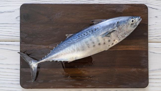 Peneliti Temukan Lebih dari 1.600 Cacing pada Ikan Ini, Sering Dikonsumsi Orang Indonesia