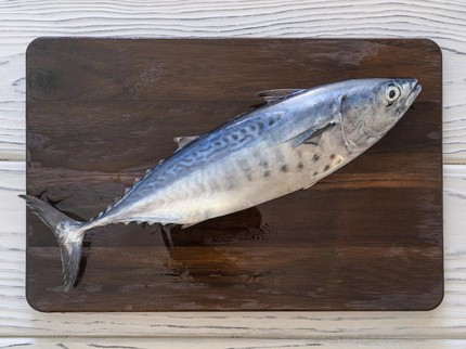 Peneliti Temukan Lebih dari 1.600 Cacing pada Ikan Ini, Sering Dikonsumsi Orang Indonesia