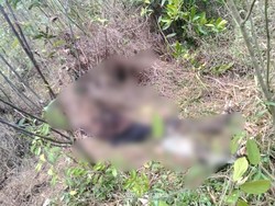 Cekcok HP Digadai Jadi Sebab Remaja di Muara Enim Dibunuh-Motor Digadai