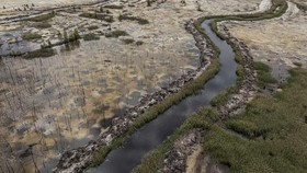 This photograph shows a former forest  previously used for illegal amber mining in the Rivne region, northwestern Ukraine on May 19, 2026. Russia's invasion has hit efforts to regulate the industry in Ukraine, which has some of the world's biggest re