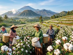 Hari Kapas Sedunia, Ini Wilayah Penghasilnya di Jawa Timur
