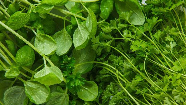 Menurut Penelitan, Ini Sayur yang Dinobatkan Paling Sehat