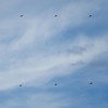 Militer Iran Tembak Jatuh Drone AS di Bandar Abbas