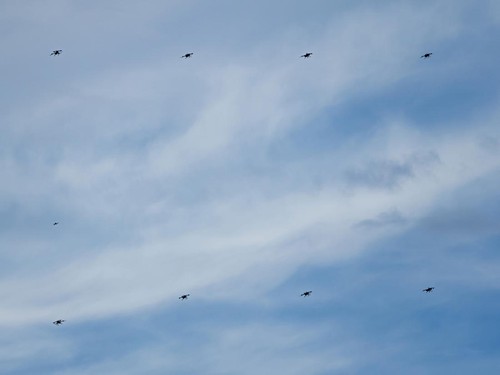Militer Iran Tembak Jatuh Drone AS di Bandar Abbas