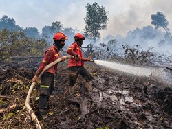 Personel Gabungan Tangani Karhutla di Muba, Operasi Darat-Udara Diperkuat