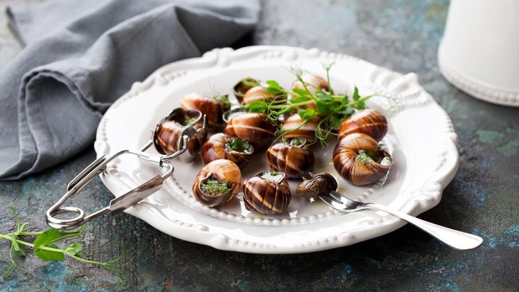 Bourgogne Escargot Snails with garlic herbs butter on a white plate&comma; selective focus