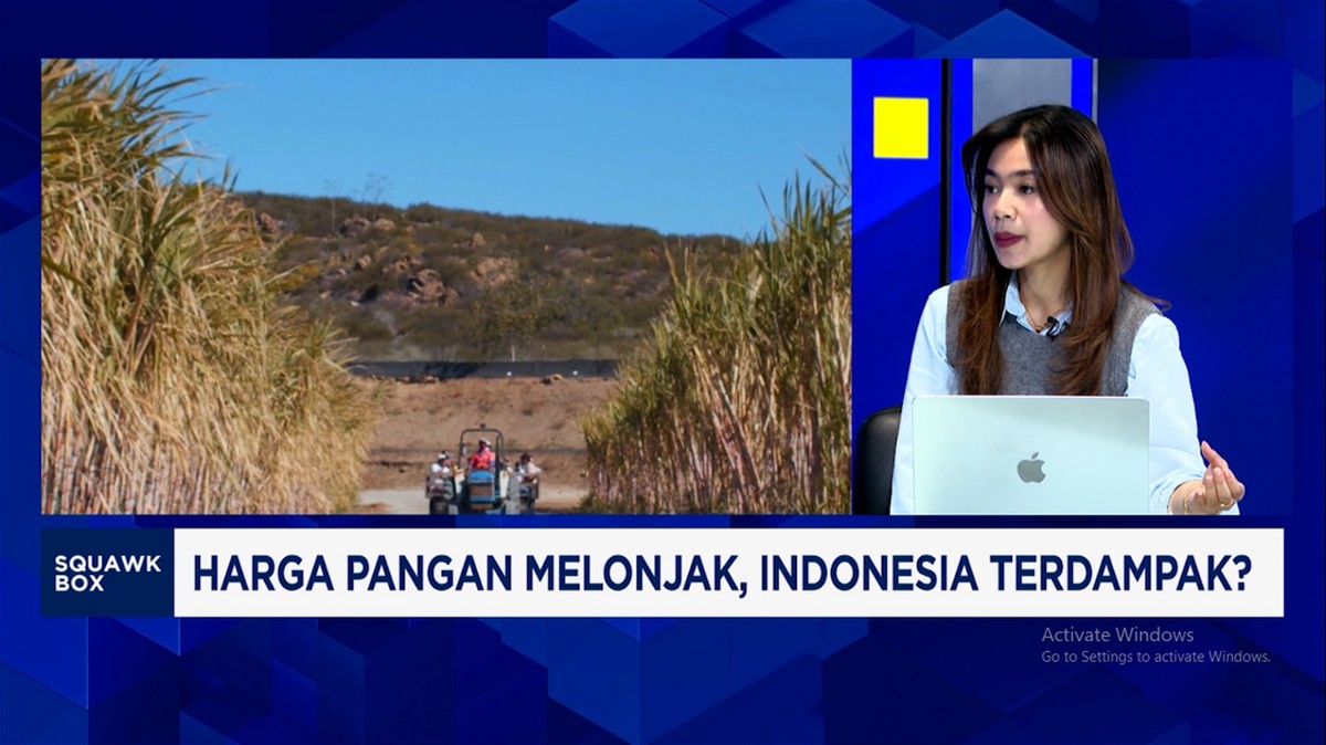 Video: Harga Gandum - Gula Dunia Melonjak, Indonesia Wajib Waspada?