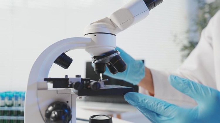 A close-up shot of a researcher's gloved hand holding a petri dish containing a dark blue specimen&period; The researcher is wearing a professional white lab coat&comma; and the focus remains on the texture and color of the sample during a detailed scientific inspection&period;