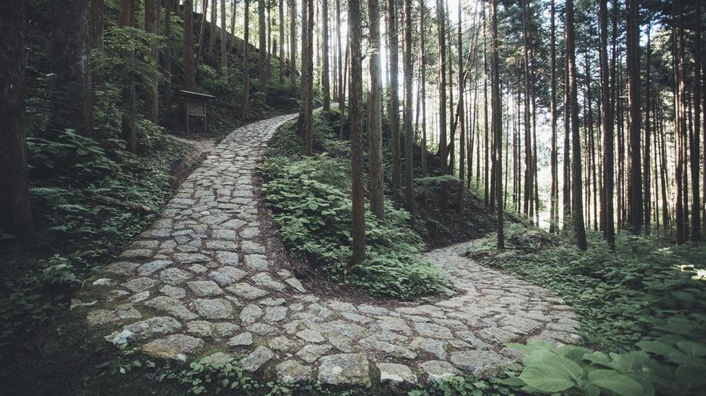 Jepang Buka Rute Hiking Trail 350 Km, Bisa Tembus 6 Wilayah