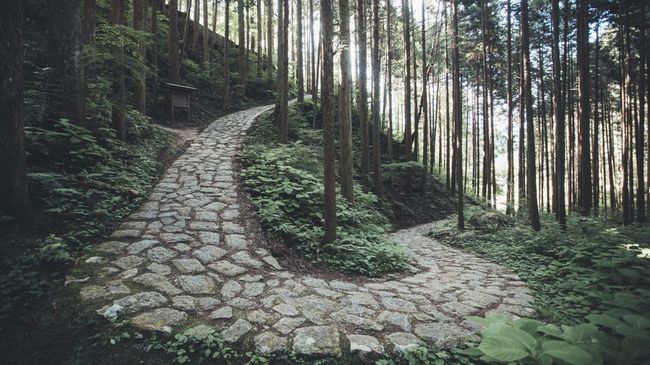Jepang Buka Rute Hiking Trail 350 Km, Bisa Tembus 6 Wilayah