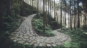 Jepang Buka Rute Hiking Trail 350 Km, Bisa Tembus 6 Wilayah