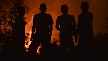 Investigasi Singapura Sebut 7 Perusahaan Diduga Terkait Karhutla RI
