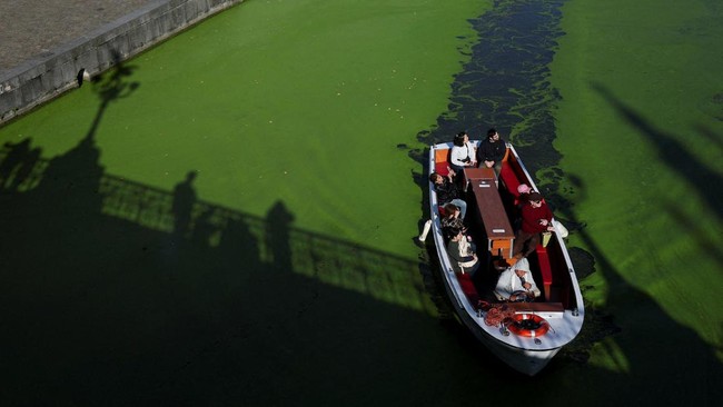 A sightseeing boat travels along a duckweed-covered section of the River Lys in Ghent, Belgium, October 5, 2026. Prolonged hot and dry weather led to a surge in duckweed growth on the river following one of Europe's driest summers on record. REUTERS/