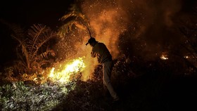 Warga membantu memadamkan api yang membakar lahan di Penyengat Rendah, Telanaipura Jambi, Selasa (6/10/2026). Kebakaran yang terjadi sekira pukul 17.30 WIB dan awalnya menghanguskan 1,5 hektare lahan terbengkalai lalu menyebar ke lahan pekebunan kela