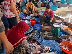 Harga Ikan di Palangka Raya Naik, Pakan Mahal-Kabut Asap Jadi Pemicu