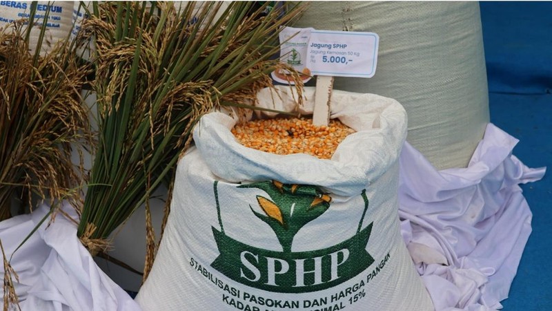 BULOG Percepat Penyaluran SPHP Jagung Pakan, Jaga Stok Nasional Cukup