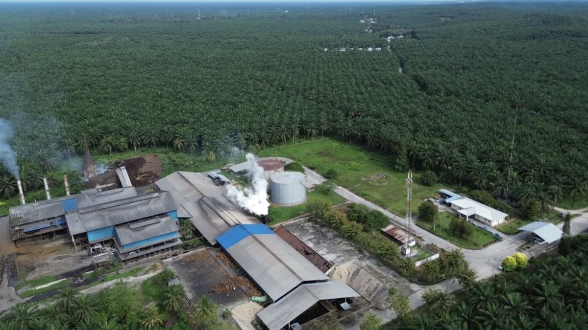 BUMN Agrinas Palma Buka Loker 10.000 Orang, Gajinya 120% di Atas UMR