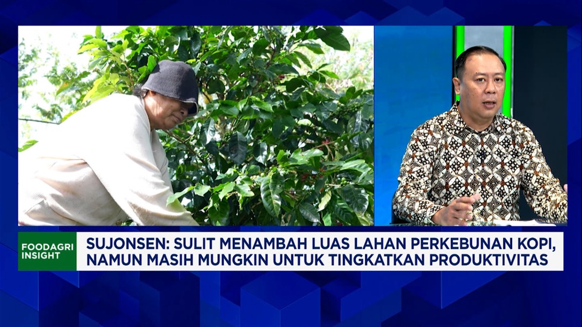 Video: RI Genjot Ekspor Kopi, Petani Kopi Daerah Sudah Sejahtera?
