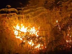 Api Karhutla Membara di Kampar Malam Ini, Pasokan Air Jadi Kendala Pemadaman