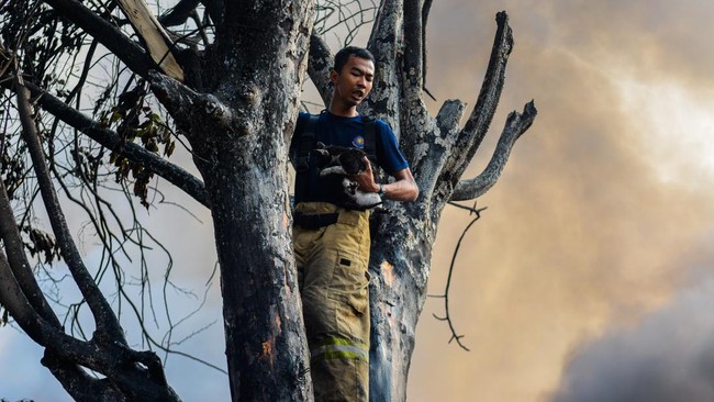 Petugas pemadam berupaya memadamkan api saat kebakaran permukiman di Kapuk Muara, Penjaringan, Jakarta Utara, Kamis (8/10/2026).