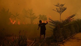 Kemenhut terus memperkuat pengendalian karhutla di sejumlah daerah, terutama Kalimantan dan Sumatra.