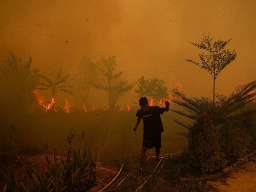 A resident walks as a wildfire burns near a residential area in Banyuasin, South Sumatra province, Indonesia, October 7, 2026. REUTERS/Abriansyah Liberto