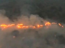 #PrayforKalimantan Menggema, Karhutla Makin Parah Ancam Permukiman Warga