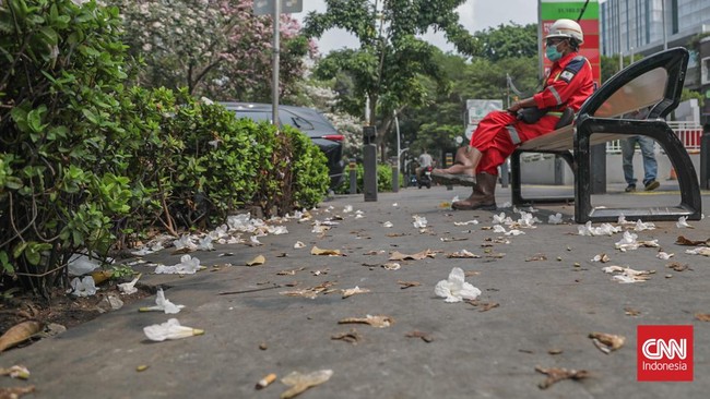 Deretan pohon tabebuya yang bunganya berguguran di Jalan Cikini Raya, Cikini, Jakarta, Kamis (8/10). (CNN Indonesia/Febria Adha L).
