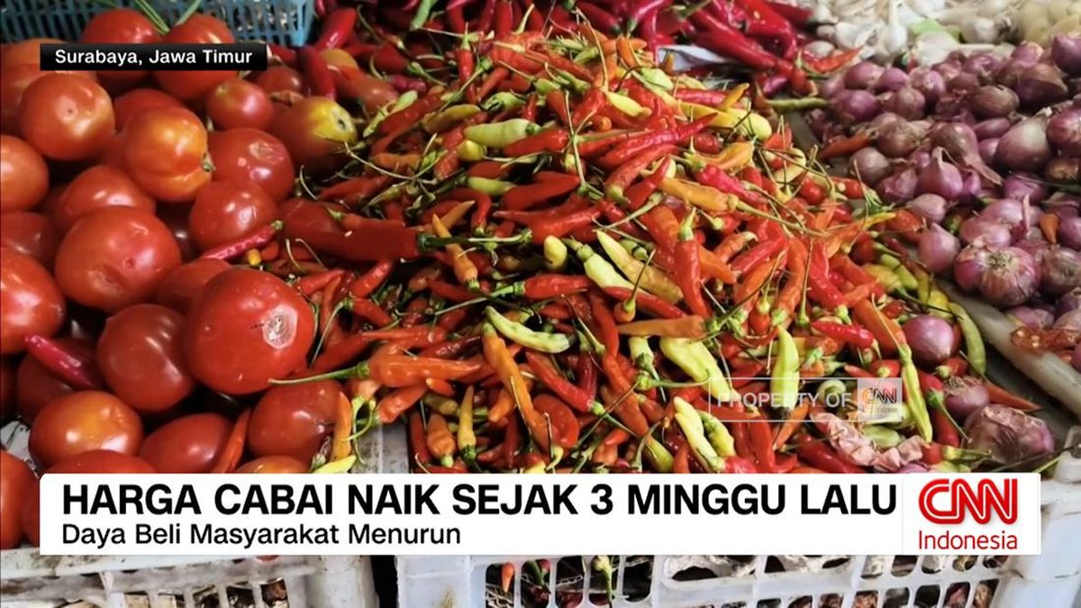 VIDEO: Harga Cabai Naik Signifikan Sejak 3 Minggu Terakhir
