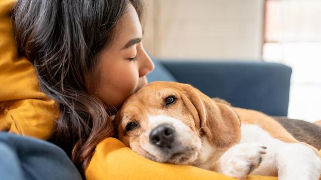 Bukan Antisosial, Ini 5 Ciri Kepribadian Orang yang Lebih Nyaman Berinteraksi dengan Anjing Peliharaan