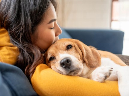 Bukan Antisosial, Ini 5 Ciri Kepribadian Orang yang Lebih Nyaman Berinteraksi dengan Anjing Peliharaan