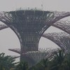 People visit the Supertree Grove at Gardens by the Bay on a hazy day in Singapore on October 8, 2026. Toxic haze has shrouded parts of Indonesia, Malaysia and Singapore for weeks as Jakarta struggles to contain fires that have scorched large tracts o