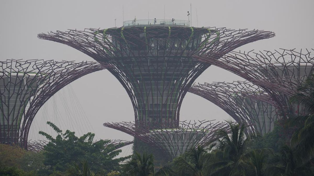 Alleged Afliation Company Carhutla trigger by Singapore Open Sound
