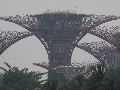 People visit the Supertree Grove at Gardens by the Bay on a hazy day in Singapore on October 8, 2026. Toxic haze has shrouded parts of Indonesia, Malaysia and Singapore for weeks as Jakarta struggles to contain fires that have scorched large tracts o